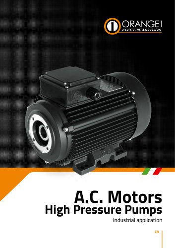 A.C. Motors High Pressure Pumps