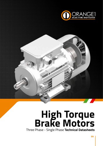 High Torque Brake Motors