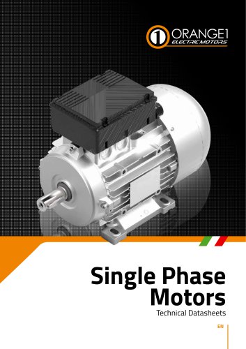 Single Phase Motors technical  datasheets