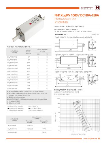 Hollyland 1000V DC Solar Fuses NH1XLgPV series