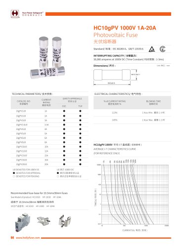 Hollyland 10x38mm Solar Fuses HC10gPV series