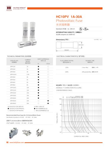 Hollyland 10X38mm Solar Fuses HC10PV series