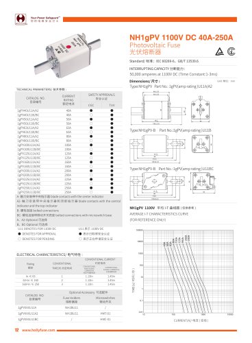 Hollyland 1100V DC Solar Fuses NH1gPV series