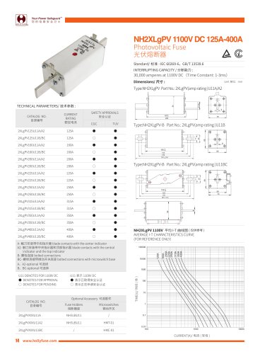 Hollyland 1100V DC Solar Fuses NH2XLgPV series