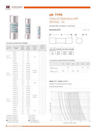 Hollyland Class aM Type Fuses HCaM Series