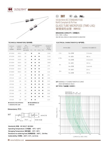 Hollyland Glass Tube Microfuse 30T Series