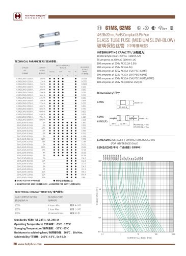 Hollyland Glass Tube Microfuse 61MS,62MS Series