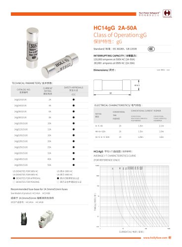 Hollyland HC14gG 14X51mm Cylinder Fuses