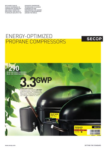 DLE/NLE-CN Compressors, R290, 220 V, 50 Hz