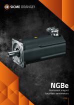 Permanent magnet brushless servomotors