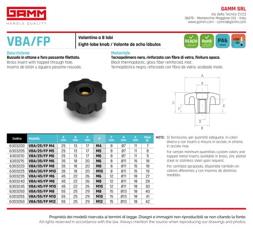 VBA/FP