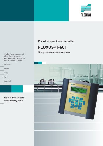 Portable ultrasonic flowmeter