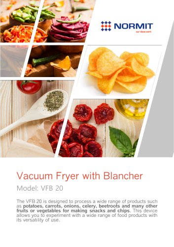 Vacuum Fryer with Blancher