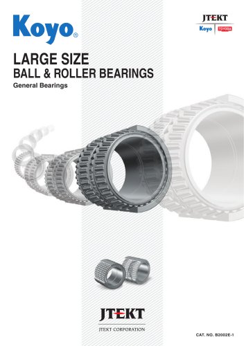 LARGE SIZE BALL & ROLLER BEARINGS