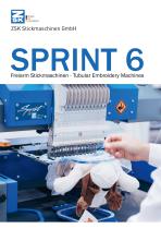 SPRINT 6