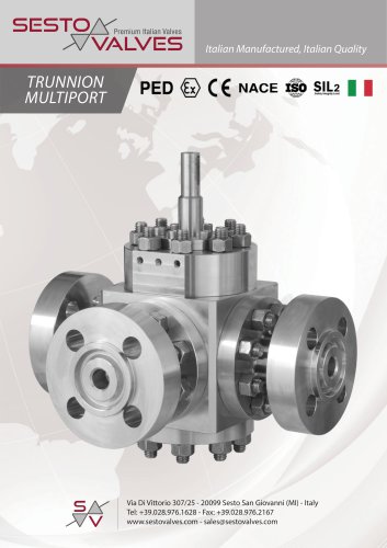 Trunnion Multiport