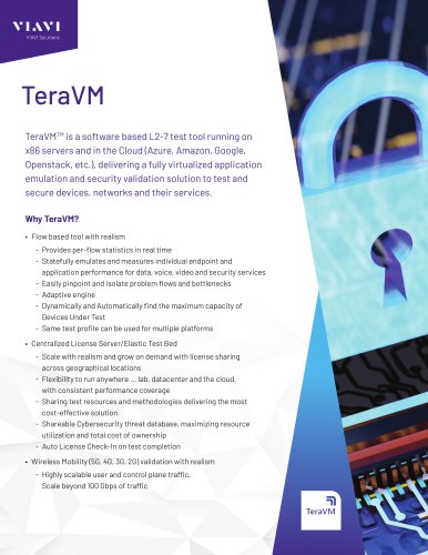 TeraVM