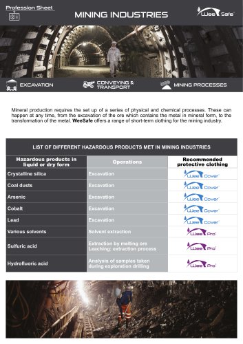 Profession Sheet - Minning Industries