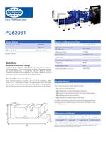PG620B1 Gas Generator Set