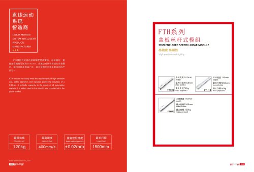 Semi enclosed screw linear guide FTH series