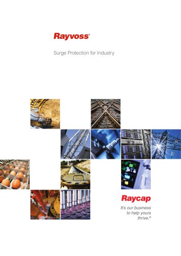 Rayvoss Brochure