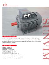 IE3 SERIES THREE-PHASE INDUCTION MOTOR