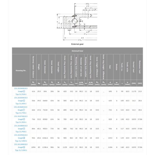 Light series - external gear slewing bearing Catalogs