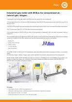 Data sheet M-Bus - Industrial gas meter