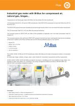 Data sheet M-Bus - Industrial gas meter