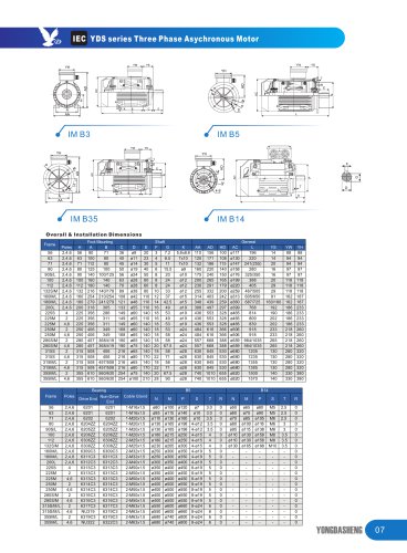 IEC YDS series Three Phase Asychronous Motor