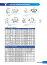 YDS series Three Phase Asychronous Motor