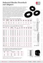 Industrial Ratchet Freewheels