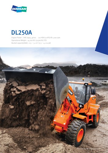 DL250A