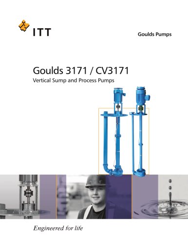 Goulds 3171 / CV3171 Vertical Sump and Process Pumps