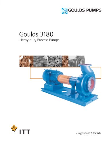 Goulds 3180 Heavy-duty Process Pumps