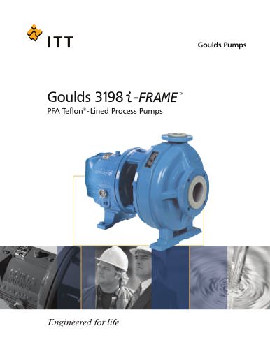 Goulds 3198 i-FRAME 