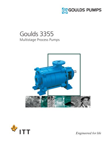 Goulds 3355 Multistage Process Pumps