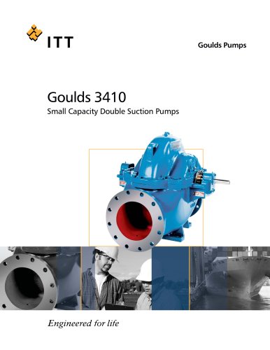 Goulds 3410 Small Capacity Double Suction Pumps