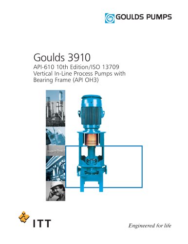 Goulds 3910