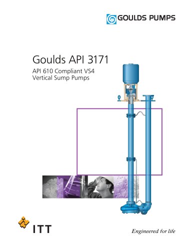 Goulds API 3171