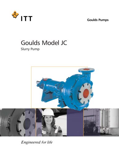 Goulds Model JC Slurry Pump