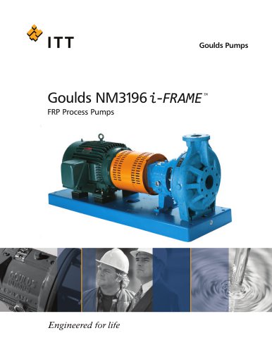 Goulds NM 3196 i-FRAME FRP Process Pumps