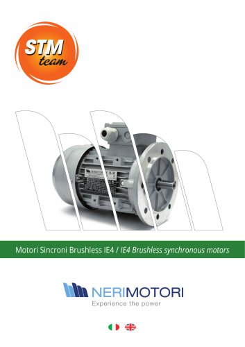 IE4 Brushless synchronous motors