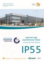 IP55 high voltage motors