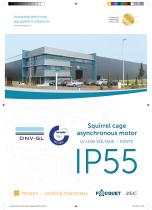 IP55 IE3