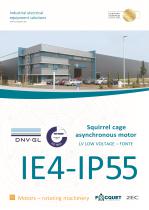 IP55 IE4