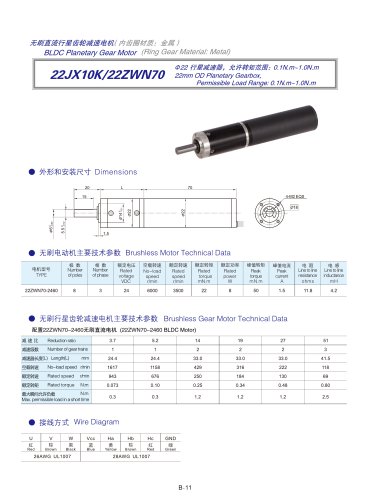 DYD-Brushless Gear Motor-22JX10K/22ZWN70