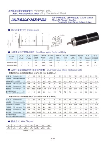 DYD-Brushless Gear Motor-28JXB30K/28ZWN38