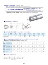 DYD-Brushless Gear Motor-42JX150K/42ZWNP59