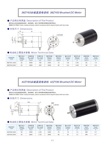 DYD MOTOR_Brushed DC Motor_38ZY63